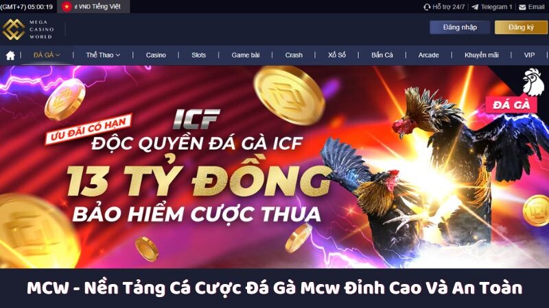 Tìm hiểu chung về MCW