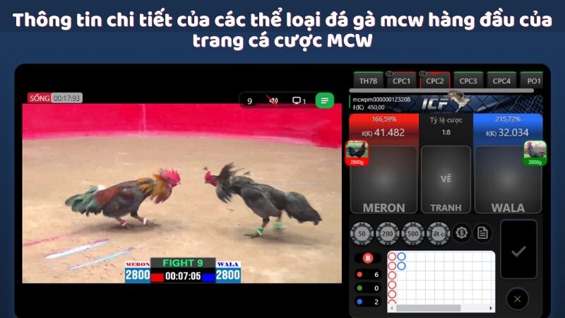 Thông tin chi tiết của các thể loại đá gà mcw hàng đầu của trang cá cược MCW