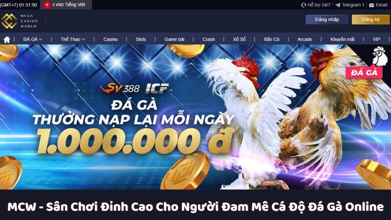 Tìm hiểu tôn chỉ hoạt động của MCW